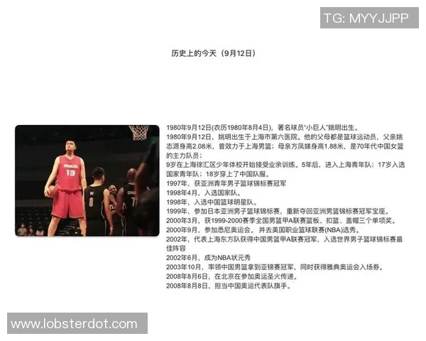 白马篮球明星的传奇之路与奋斗精神的完美结合