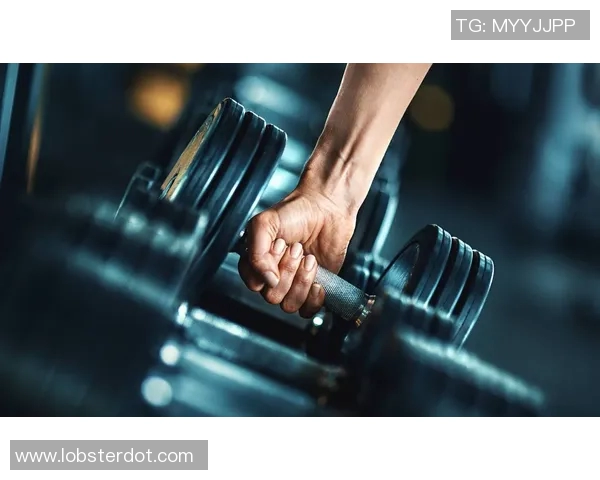 全面掌握哑铃锻炼技巧与方法的详细教程与实用指南